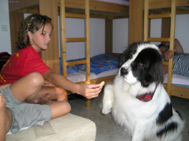 LANDSEER4.jpg